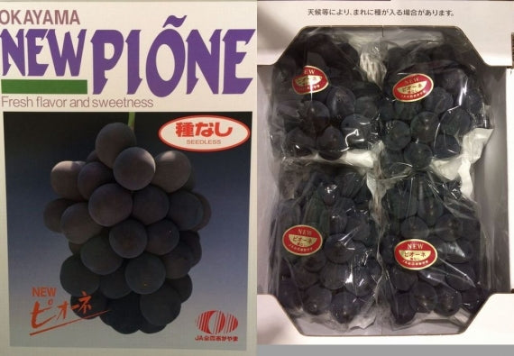 「岡山特産」ニューピオーネ [青秀] 3房～6房（2kg）【発送は８/20から】