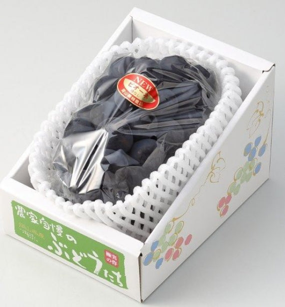 予約販売！「岡山県産」ニューピオーネ 1房（800g）【赤秀】【2025お中元】【発送は８/20から】