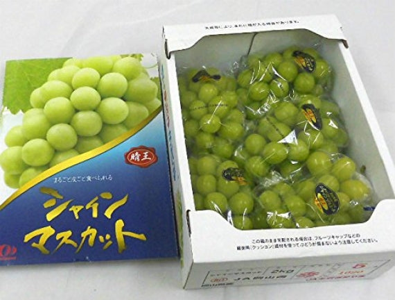岡山県産 シャインマスカット【晴王】はJA全農おかやま登録品種です【青秀】5房（約2kg）皮まで食べれて種無し高糖度ぶどうです【発送は8/20から】