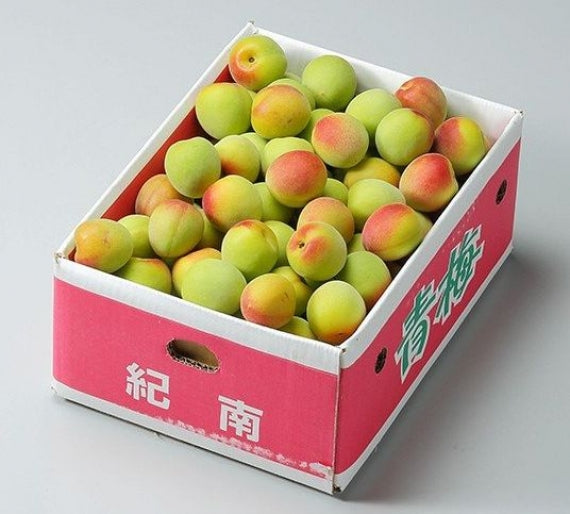 紀州 南高梅 和歌山県産  秀品【 4Lサイズ 】約5kg  発送は６月上旬からの予定