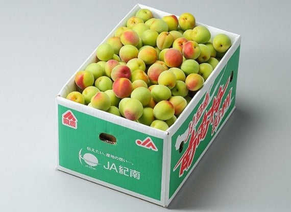 紀州 南高梅 和歌山県産  秀品【 2Lサイズ 】約10kg   発送は６月上旬からの予定