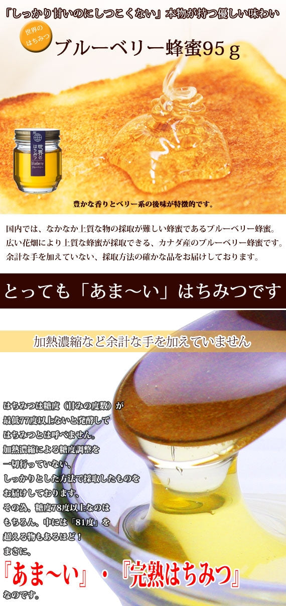 ブルーベリーハチミツミニボトル （95g）