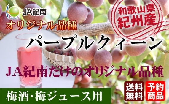 パープルクィーン（小梅）ＪＡ紀南オリジナル品種 和歌山県産 秀品【 2Lサイズ 】約4kg発送は5月下旬から 。