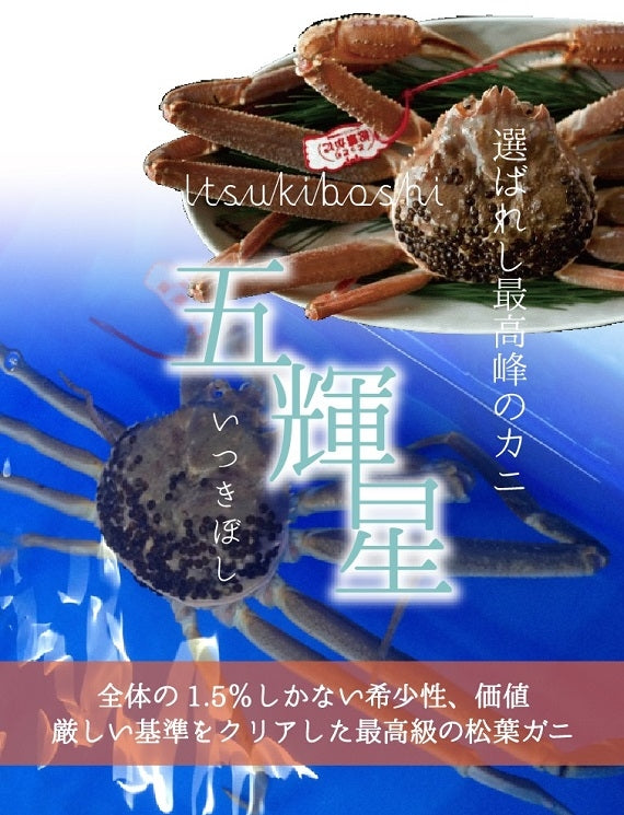 最高級ブランド・特選とっとり松葉がに「五輝星」　 タグ付　【生／茹で】
