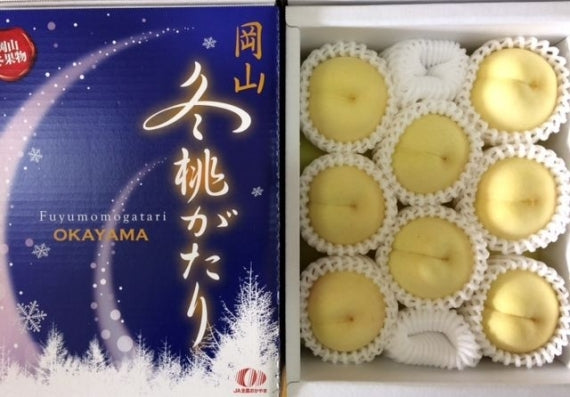 「岡山冬桃がたり」JA吉備路・白桃（光センサー選別 ・エース)  6個～9個1.3kg「小ぶりの桃です。」）【お歳暮2025】【フルーツ】