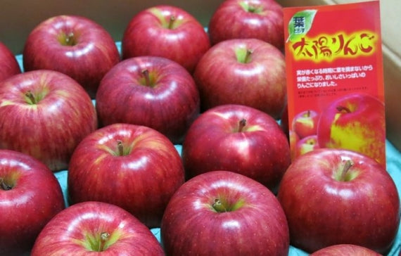 【葉とらず太陽ふじりんご・サンふじ】青森県JAつがる弘前（8～10個）3ｋｇ・林檎　 ふるさと物産品