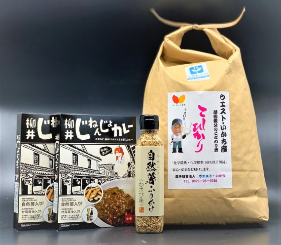 極上伊陸米(いかちまい)セット！(コシヒカリとふりかけとカレー) ※送料込価格！
