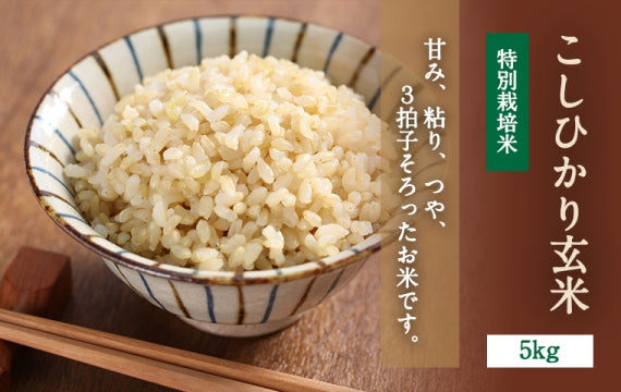 鳥取県産こしひかり玄米5kg（おひとり様ご購入は10㎏まで）