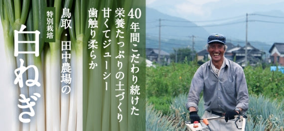【送料込み】鳥取・田中農場の白ねぎ2kg 甘くてジューシー 歯触り柔らかな特別栽培白ねぎ