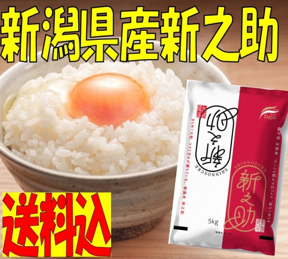 令和6年産　新潟県産新之助　10kg