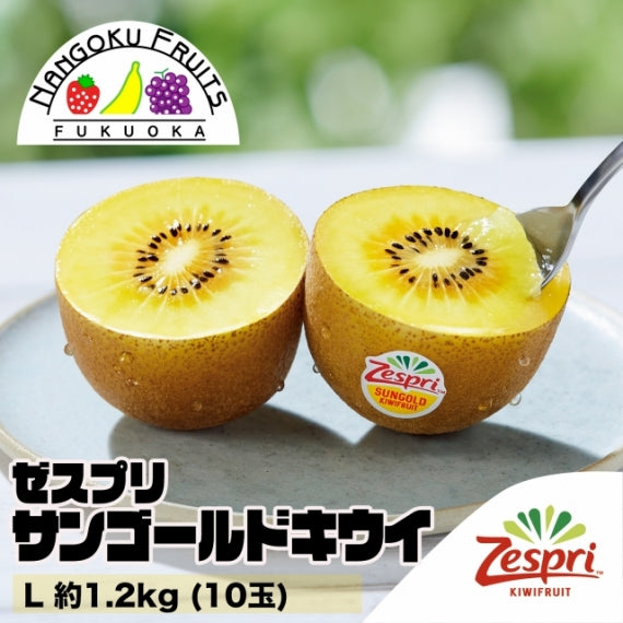 【母の日ギフト対応】【送料無料】ゼスプリ サンゴールドキウイ