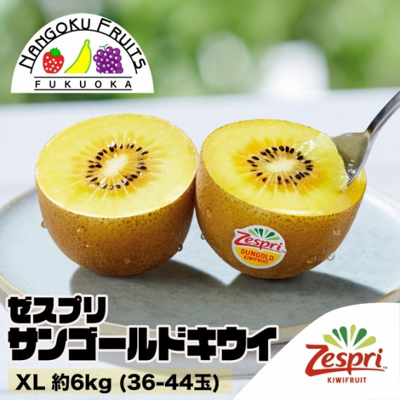 【母の日ギフト対応】【送料無料】ゼスプリ サンゴールドキウイ