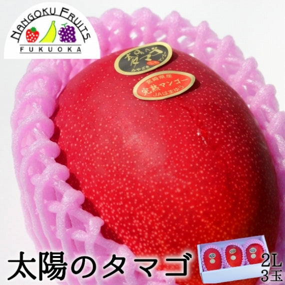 【予約販売・送料無料】宮崎産 完熟マンゴー　太陽のタマゴ