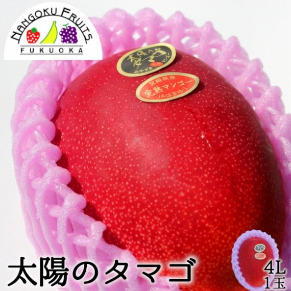 【予約販売・送料無料】宮崎産 完熟マンゴー　太陽のタマゴ