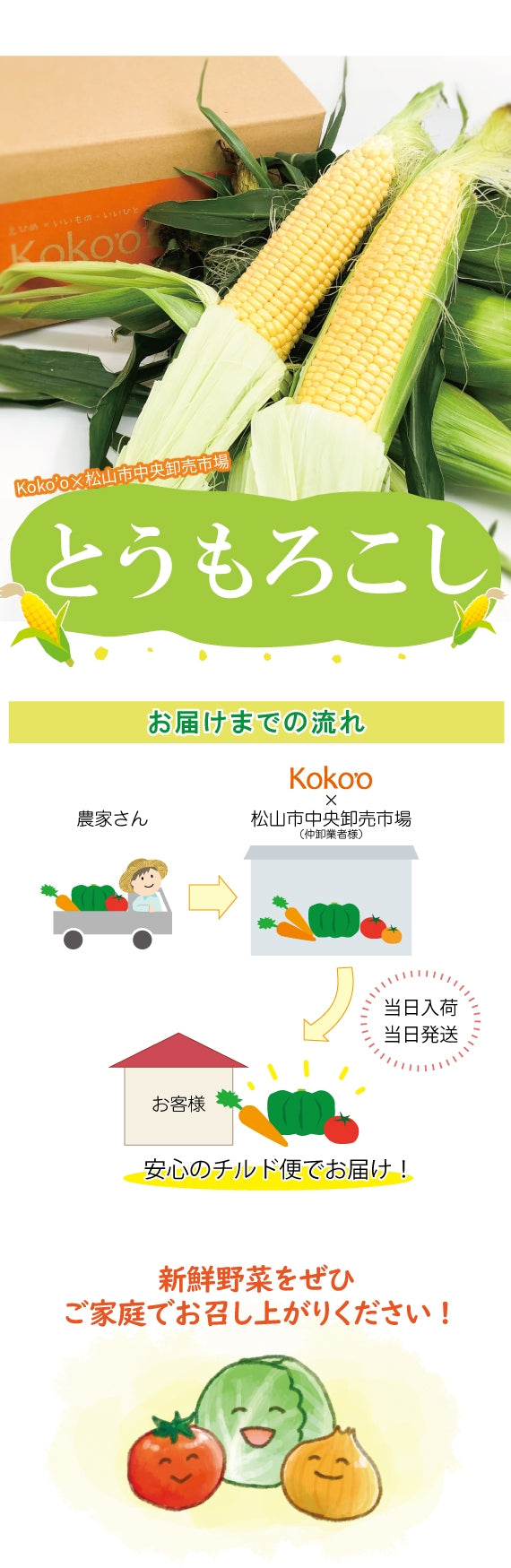 【※今季完売いたしました※】旬！とうもろこし　【２Lサイズ：８本入り】