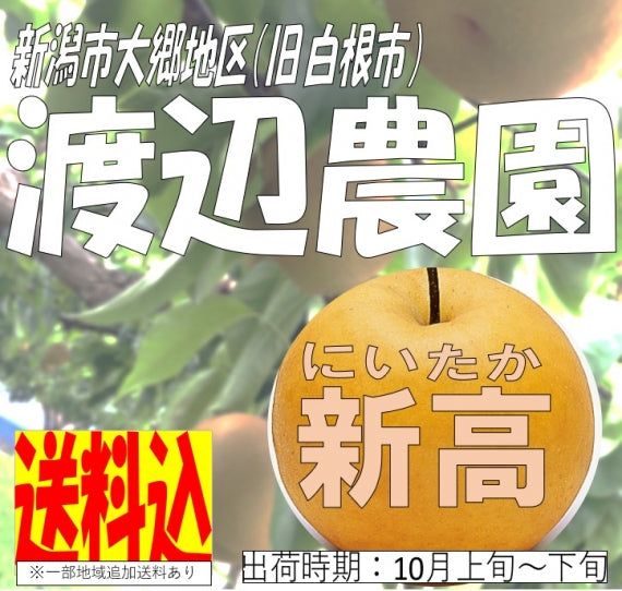 【送料込】渡辺農園　和梨　新高　5㎏【10月上旬より出荷予定】