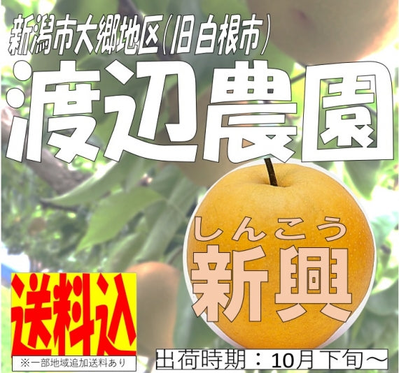 【送料込】渡辺農園　和梨　新興　3ｋｇ【10月下旬より出荷予定】