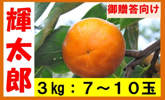 【令和6年分】【鳥取特産】輝太郎(きたろう)柿　贈答用7～11玉【送料無料】