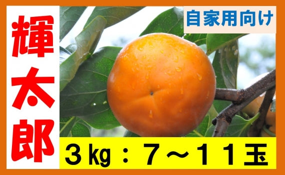 【令和6年分】【鳥取特産】輝太郎(きたろう)柿　自家用7～11玉【送料無料】