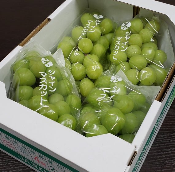 【販売中】パリッとした食感「シャインマスカット」１箱（約２ｋｇ）４～６房入り