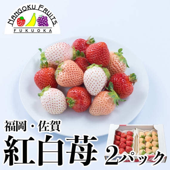 【予約販売】福岡・佐賀産 紅白いちご  (あまおう×白いちご)【フルーツ】