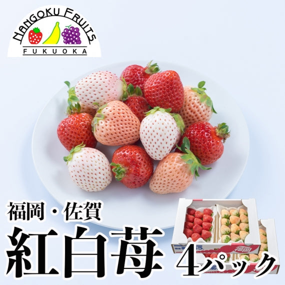 【予約販売】福岡・佐賀産 紅白いちご  (あまおう×白いちご)【フルーツ】