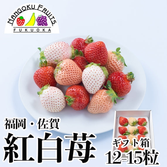 【予約販売】福岡・佐賀産 紅白いちご  (あまおう×白いちご)【フルーツ】