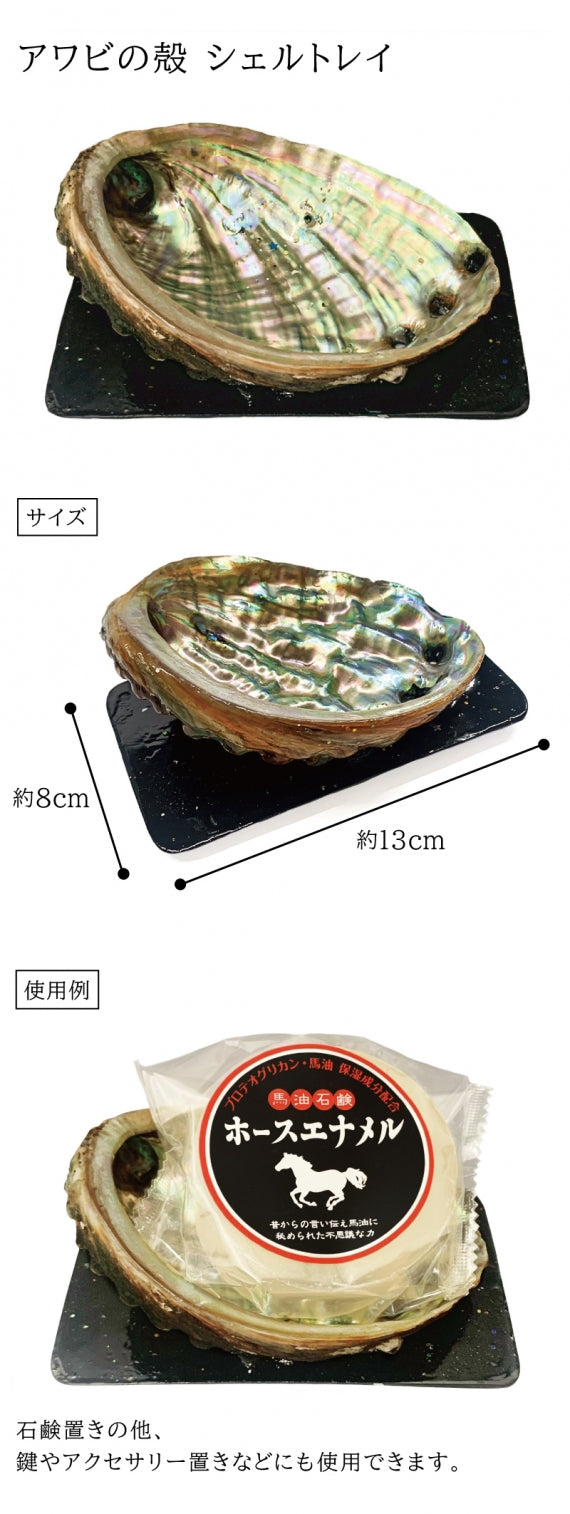 シェルトレイ　アワビの殻　石鹸置　鍵・アクセサリー置き 送料無料 道奥美女 みちのくびじょ【1101】