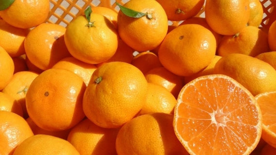 【3キロ箱入り】龍馬感激みかん（お手頃3キロ箱レギュラー）【送料無料一部地域を除く】【フルーツ】