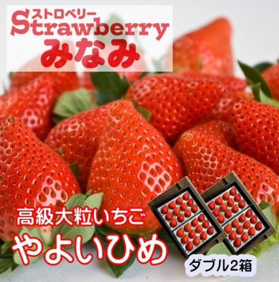 【受付中】やよいひめダブル×2箱(発送時期:2025年12月～）【送料込み】群馬県
