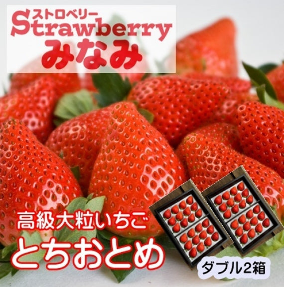 【予約受付中】とちおとめダブル×2箱(発送時期:2025年12月～）【送料込み】