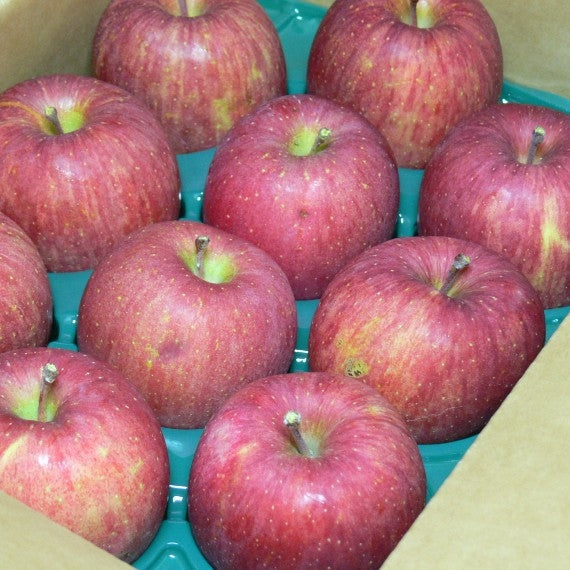 笹谷の完熟サンふじりんご　あじ撰（家庭用）-６ｋｇ】送料無料【お歳暮2025】【フルーツ】