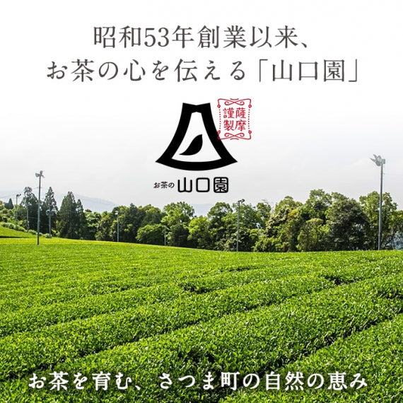 【有機栽培】誰にでも愛される。薩摩銘茶『雅』