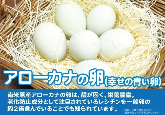 【アローカナの卵】100個入+破損補償6個付