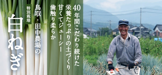 【送料込み】鳥取・田中農場の白ねぎ1kg 甘くてジューシー 歯触り柔らかな特別栽培