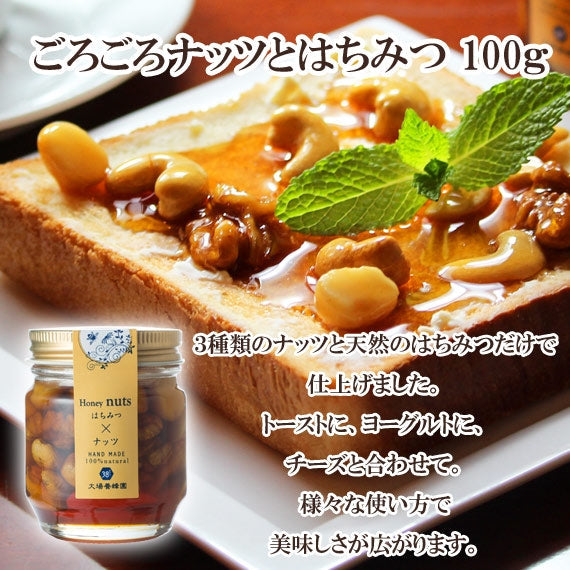 ごろごろナッツとはちみつ （100g）
