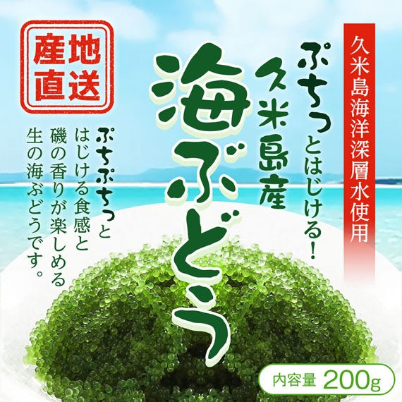 【産地直送（送料無料）】久米島産生海ぶどう（200g）【カニ・鮮魚・魚介類】