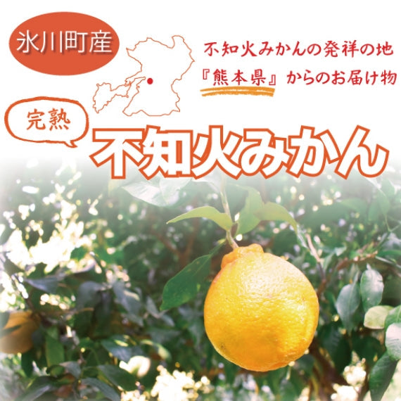【送料無料】熊本県産　不知火みかん3kg(露地物)