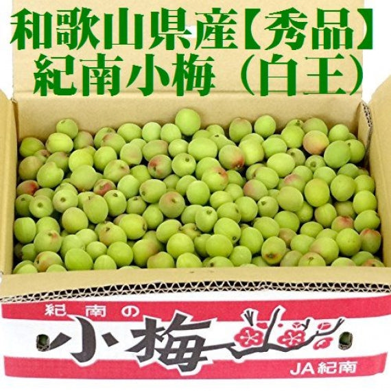 紀州 小梅（白王） 和歌山県産 秀品【 Lサイズ 】約4kg発送は５月中旬から