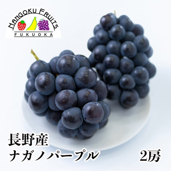 長野産葡萄　ナガノパープル