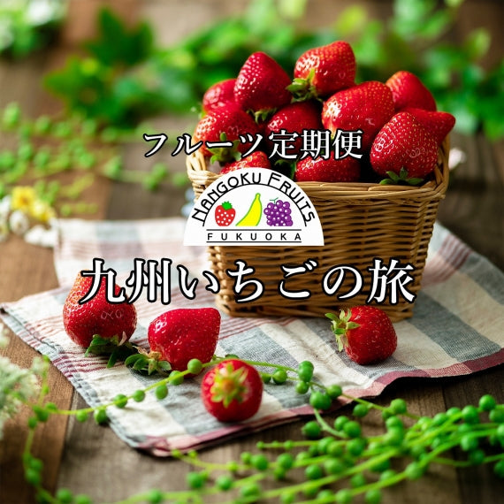 【定期便3ヶ月コース】「選りすぐり1品コース」4500円/月(税込･送料無料)