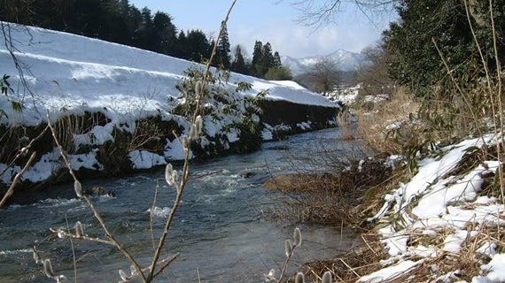 【令和７年産】「出雲國　仁多米」5kg×2袋　自然の恵みと徹底した品質管理【送料込】