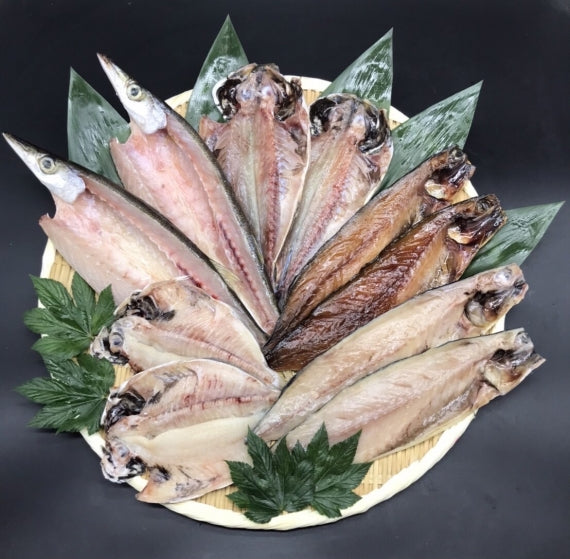 【送料無料】ひもの バラエティセット （湘南魚類厳選の小田原加工干物セットです）
