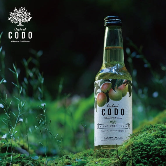 【orchard CODO】梅とエルダーの芳醇スパークリング　275ml　微炭酸リキュール