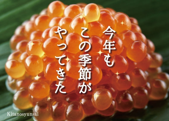 北海道産 鮭いくら醤油漬け250g（送料無料※沖縄は別途）