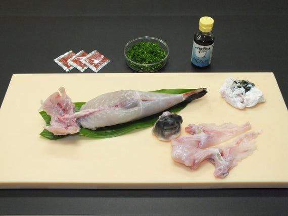 活き とらふくみがき700ｇ1尾（送料込み）　M-1