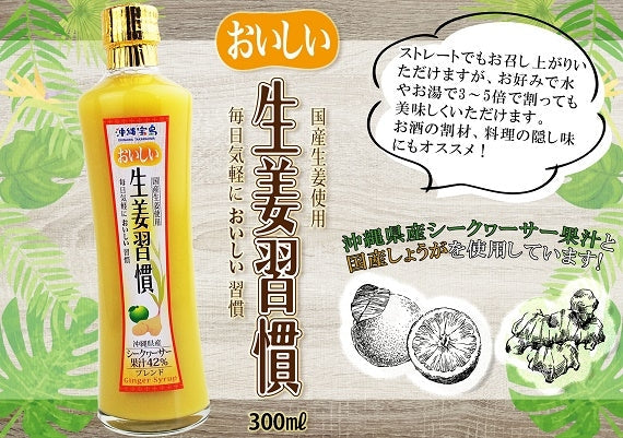 国産生姜使用　おいしい生姜習慣300ml