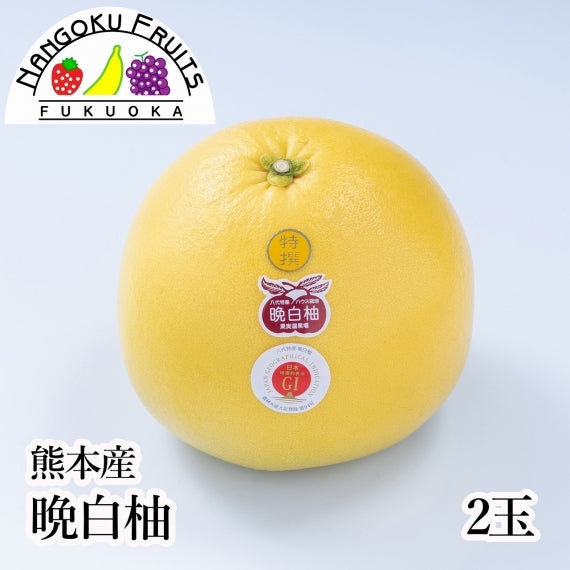 熊本産 晩白柚　
