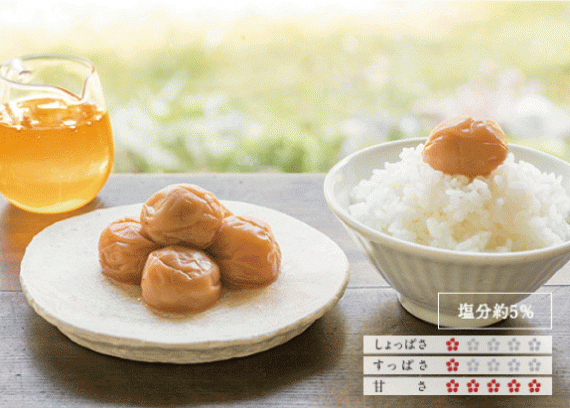 【送料込】 はちみつ梅干「蜜っこ」[塩分5％] ペット容器 250g×2個入り