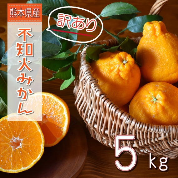 【ご自宅用】訳あり不知火みかん　5kg 【発送：3月～】＝＝今シーズンの販売は終了しました＝＝